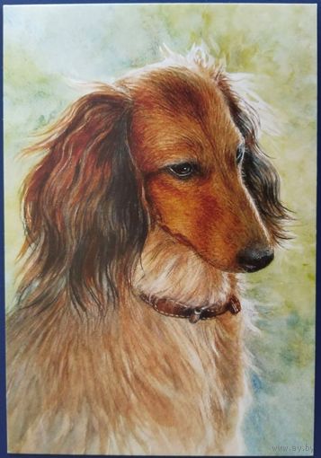 Мысли. Н.Рубачева.Россия. 2017 г.