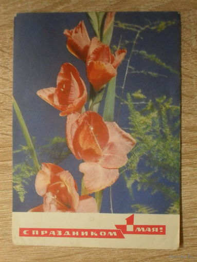 ПОДПИСАННАЯ ОТКРЫТКА СССР.  "С ПРАЗДНИКОМ 1 МАЯ" худ. И. ДЕРГИЛЕВ. 1970 год.