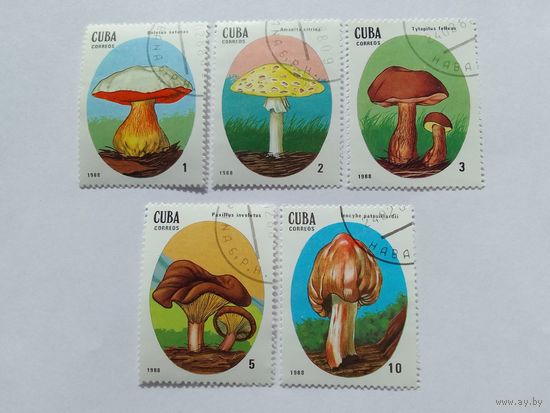 Марки  Грибы  Куба  1988  5  шт. - 3,00 руб
