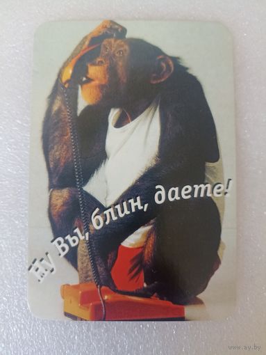 Животные, Обезьяны, 2001 год. Карманные календарики, Календарик, Календарь