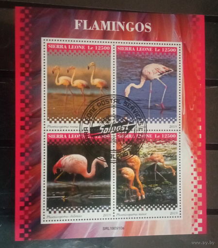 ЛИСТ ФАУНА ПТИЦЫ  СТО