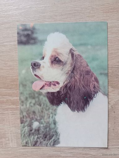 Календарик 1993