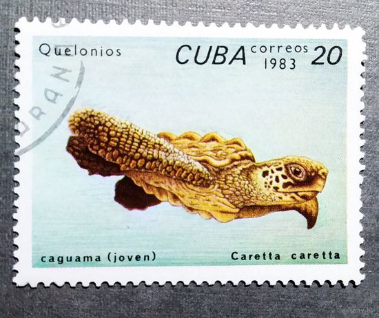 Марка Куба 1983 Черепаха