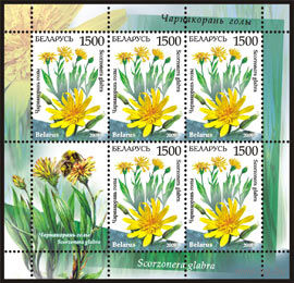 Малые листы "Чернокорень голый (5м + купон)", "Кураслеп лесной (5м + купон)"