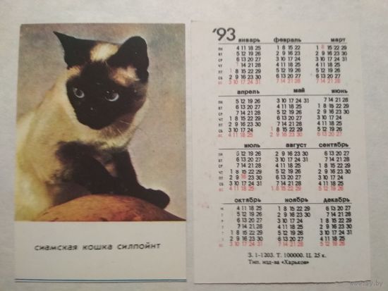 Карманный календарик. Котик.1993 год