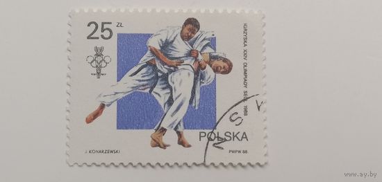 Польша 1988. ОИ. Спорт
