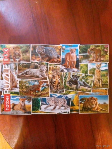 Пазл Дикие кошки 1000