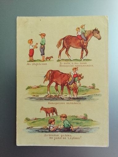 Конь.  Худ. Кеша - Проскуряков.1956 г. Чистая