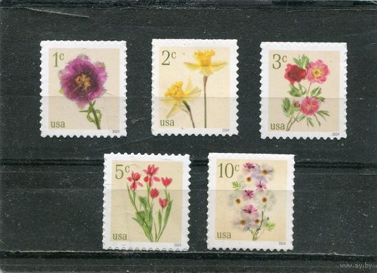 США. Стандарт. Флора. Цветы