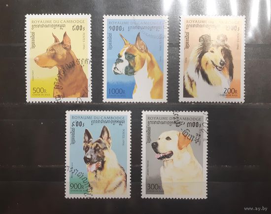 Камбоджа. 1996 год. Фауна. Собаки (798)