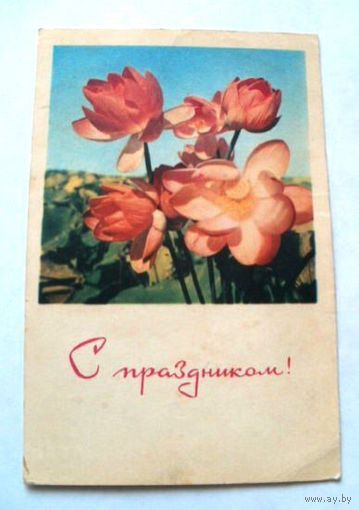 Открытка 1969 (4)