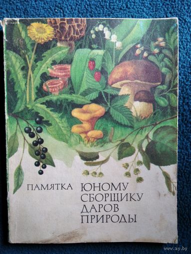Памятка юному сборщику даров природы
