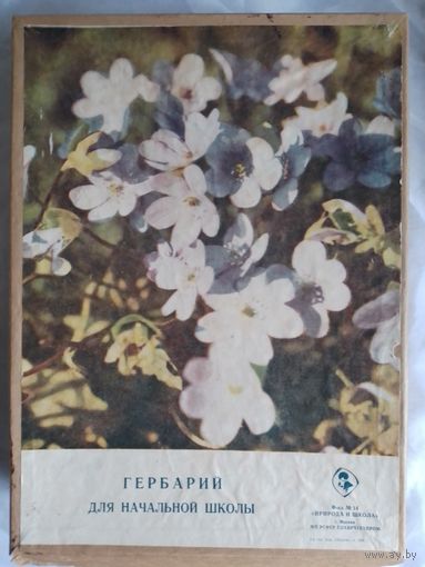 Гербарий для начальной школы СССР 1974 г.