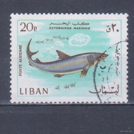 [520] Ливан 1968. Фауна.Рыба.20 п. Гашеная марка.