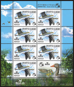 Малый лист "Серый гусь (7м + купон)"