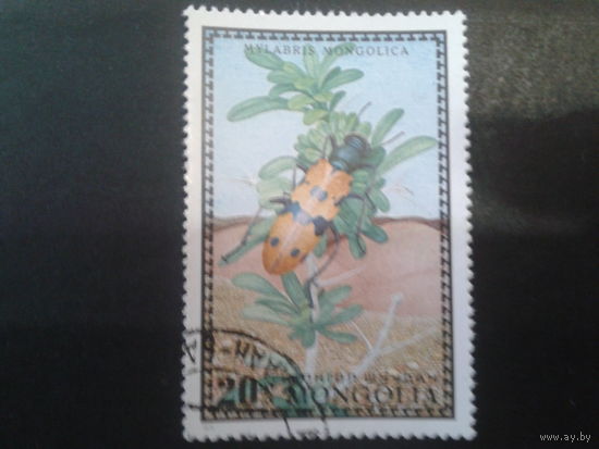 Монголия 1972 жук