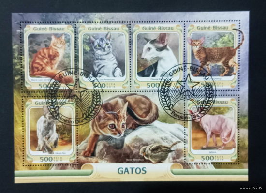 ФАУНА КОШКИ ПОРОДЫ КОШАК ЖИВОТНЫЕ     БЛОК  сто