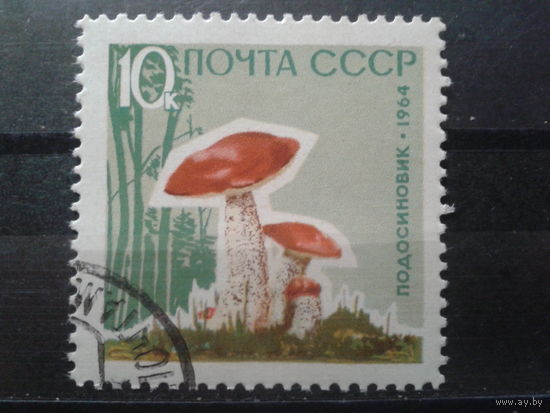 1964 Подосиновик с лаковым покрытием с клеем без наклейки
