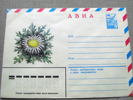С026-0038 Конверт Чистый Авиа Колючник бесстебельный 1982
