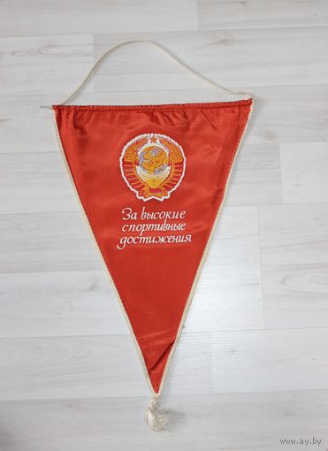 Вымпел, за высокие спортивные достижения.