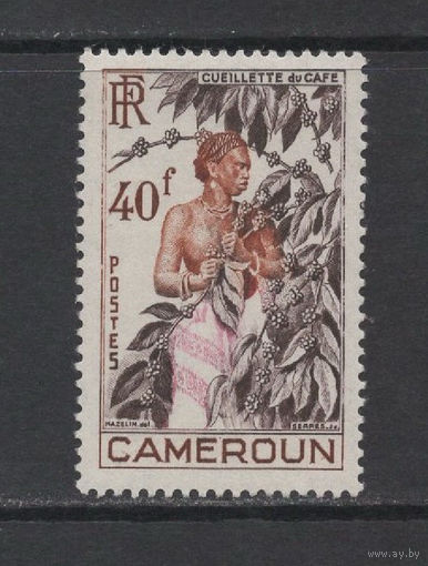 Французский Камерун 1954** Сбор кофе