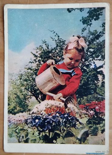 Тюккель В. Сама садик я садила. 1958 г.