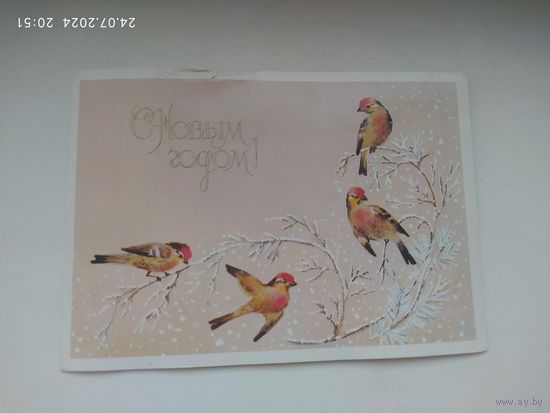 Манилова Л. 1988г.