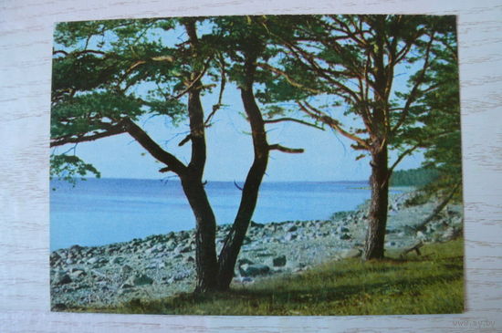 Прибалтика, Латвийская ССР, Побережье моря в окрестности Туи; чистая.