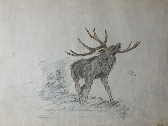 Рисунки Природа