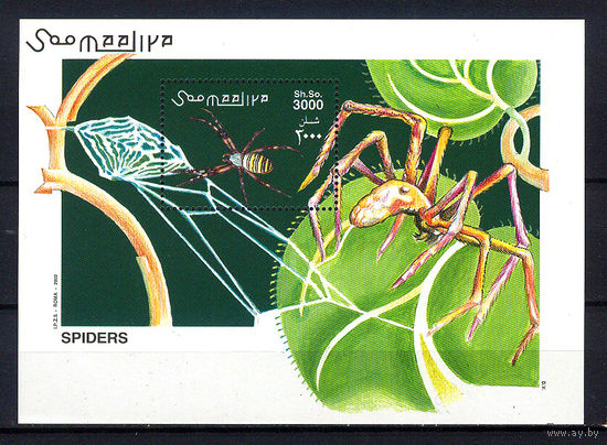 2002 Сомали. Пауки