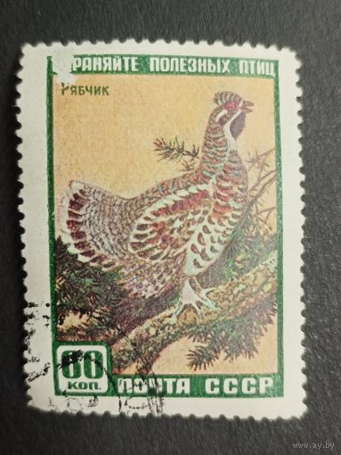 1959 СССР. Фауна СССР. Рябчик