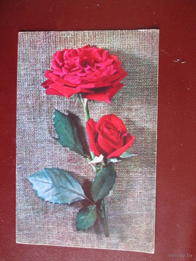 Почтовая карточка.СССР.1972г.Чистая.
