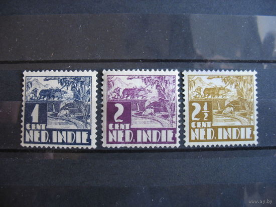 Нидерландская Индия. Быки, 1938 г. металлография.  3 фото. см. условие.