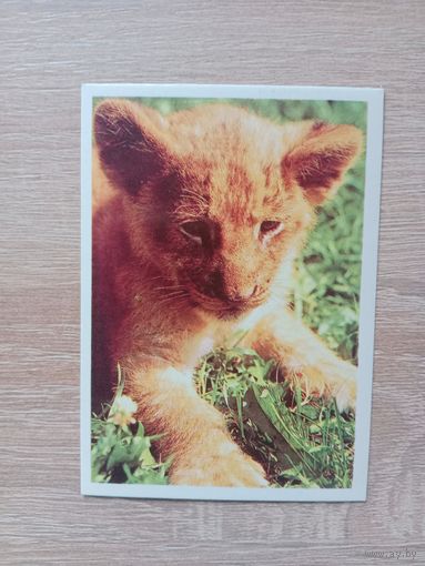 Календарик 1990