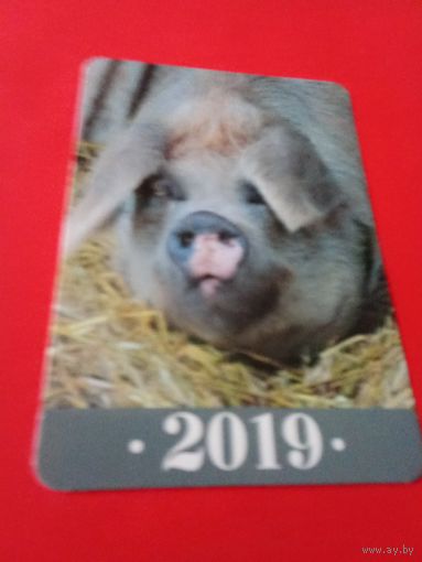 Календарик 2019г.
