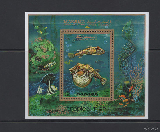 Манама 1971** Морская Фауна Тропические Рыбы Блок зуб