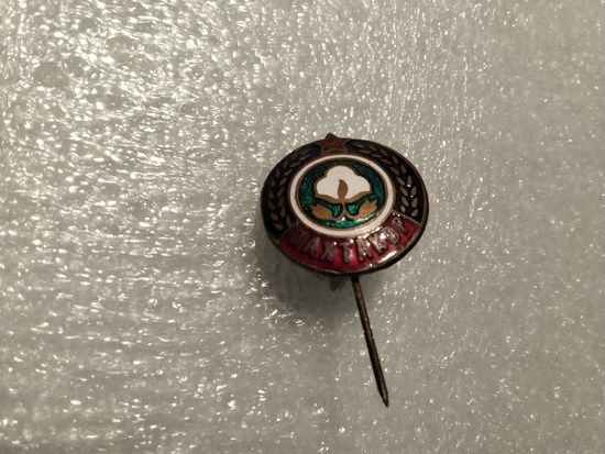 СК Пахтакор т.м