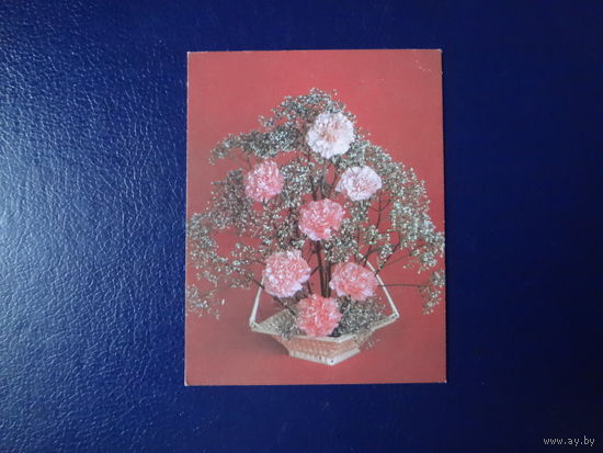 Фотокомпозиция.  1989 г.  мини.