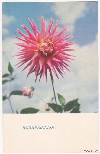 Открытка 1967 (154)