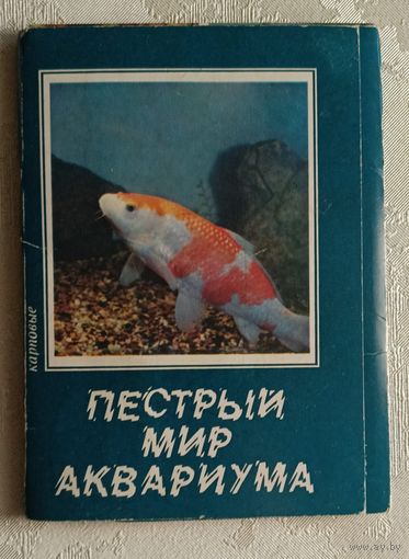 Набор открыток. Пестрый мир аквариума 18 штук. Выпуск 5. Карповые. 1986