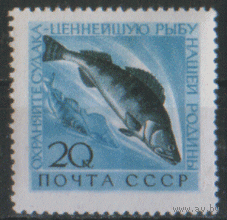 Заг. 2382. 1960. Судак. 1960.