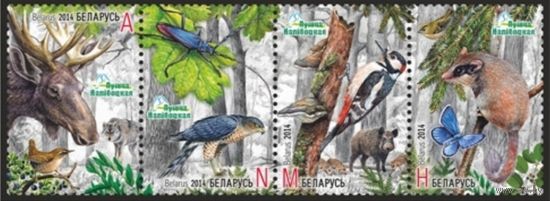 Налибокская пуща. Сцепка, 2014. Беларусь