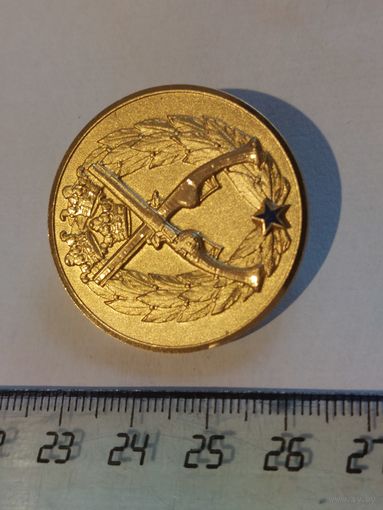 Медаль по стрельбе Швеция