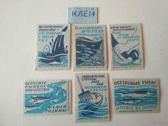 Спичечные этикетки ф.Сибирь. Рыбоохрана. 1962 год