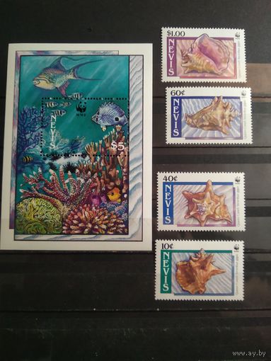 Невис 1990 г. Ракушки. Морская фауна.