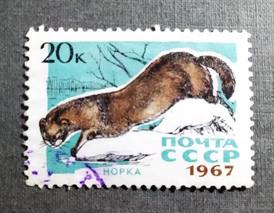 Марка СССР 1967 год Пушные звери