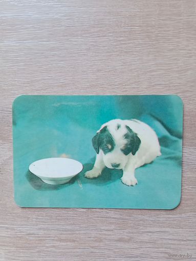 Календарик 1991