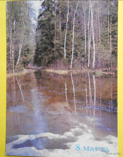Открытка 8 марта.1986 год березы