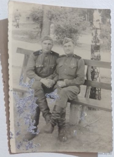 Фото в коллекцию