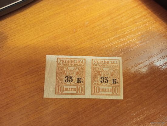 1919 Россия Гражданская война выпуск Главного командования вооруженными силами Юга России пара оригинальный клей MNH** (3-3)